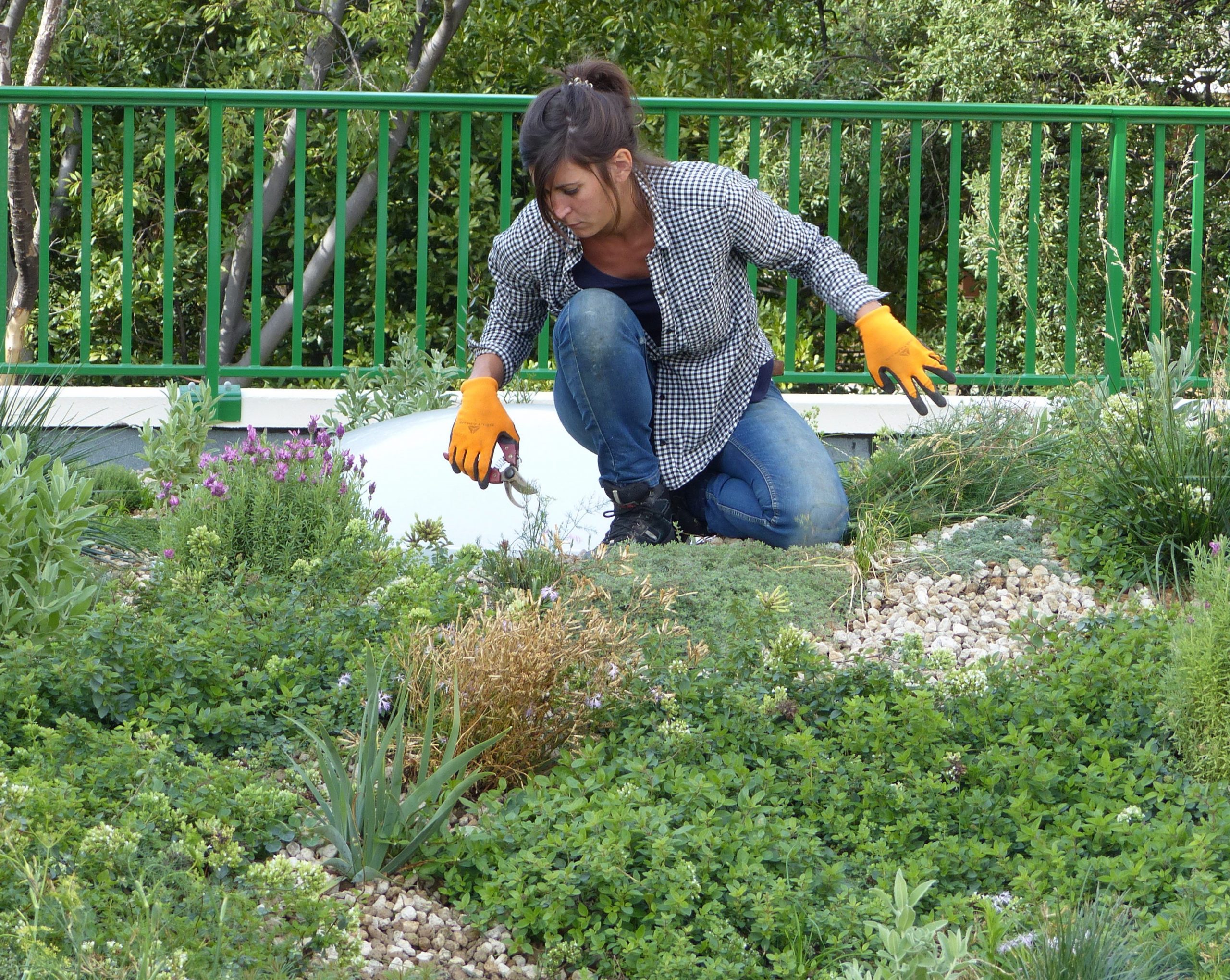 Jardin du Square | Fédération Française du Paysage - FFP