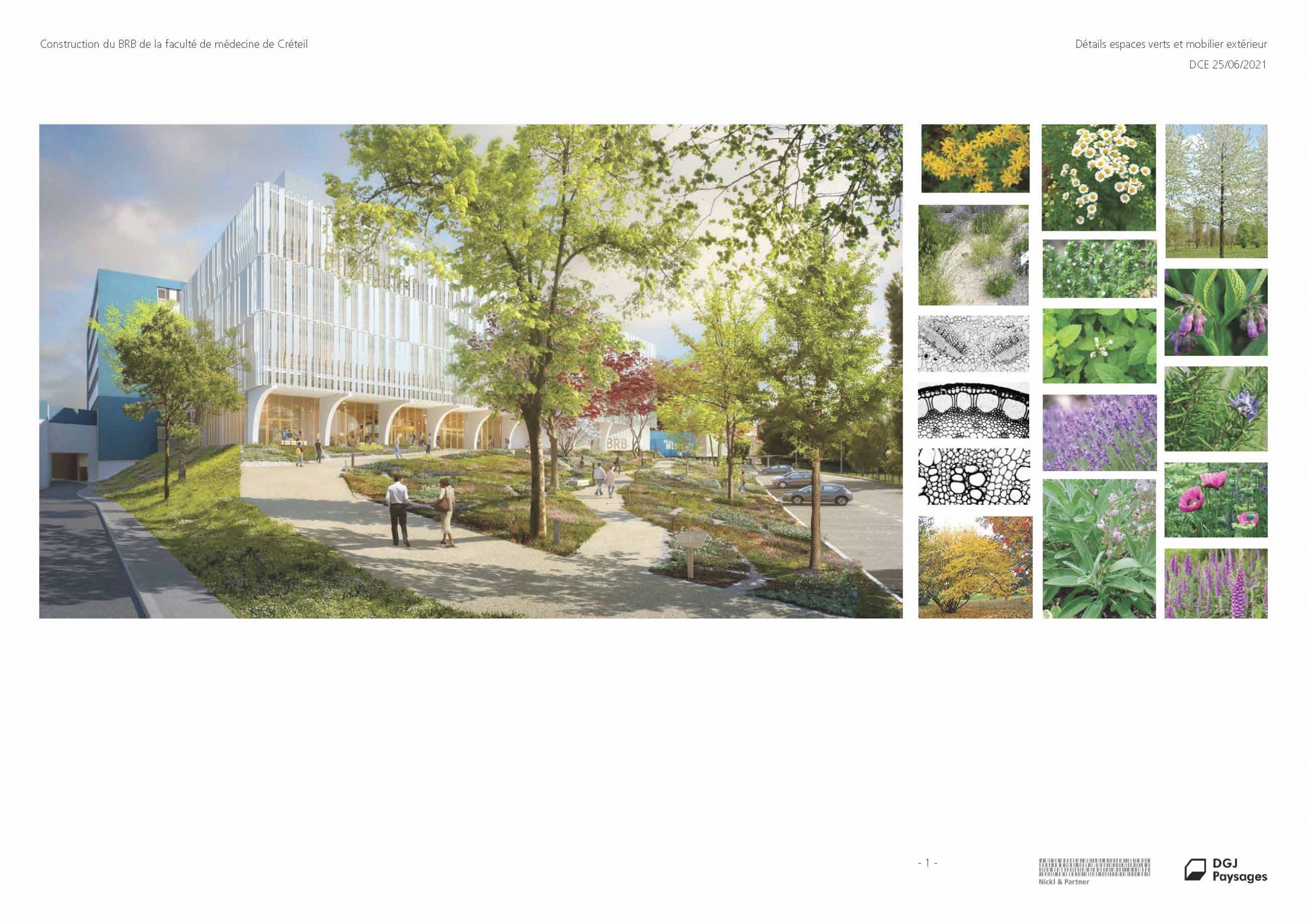 Jardin Medicinal UPE C | Fédération Française du Paysage - FFP