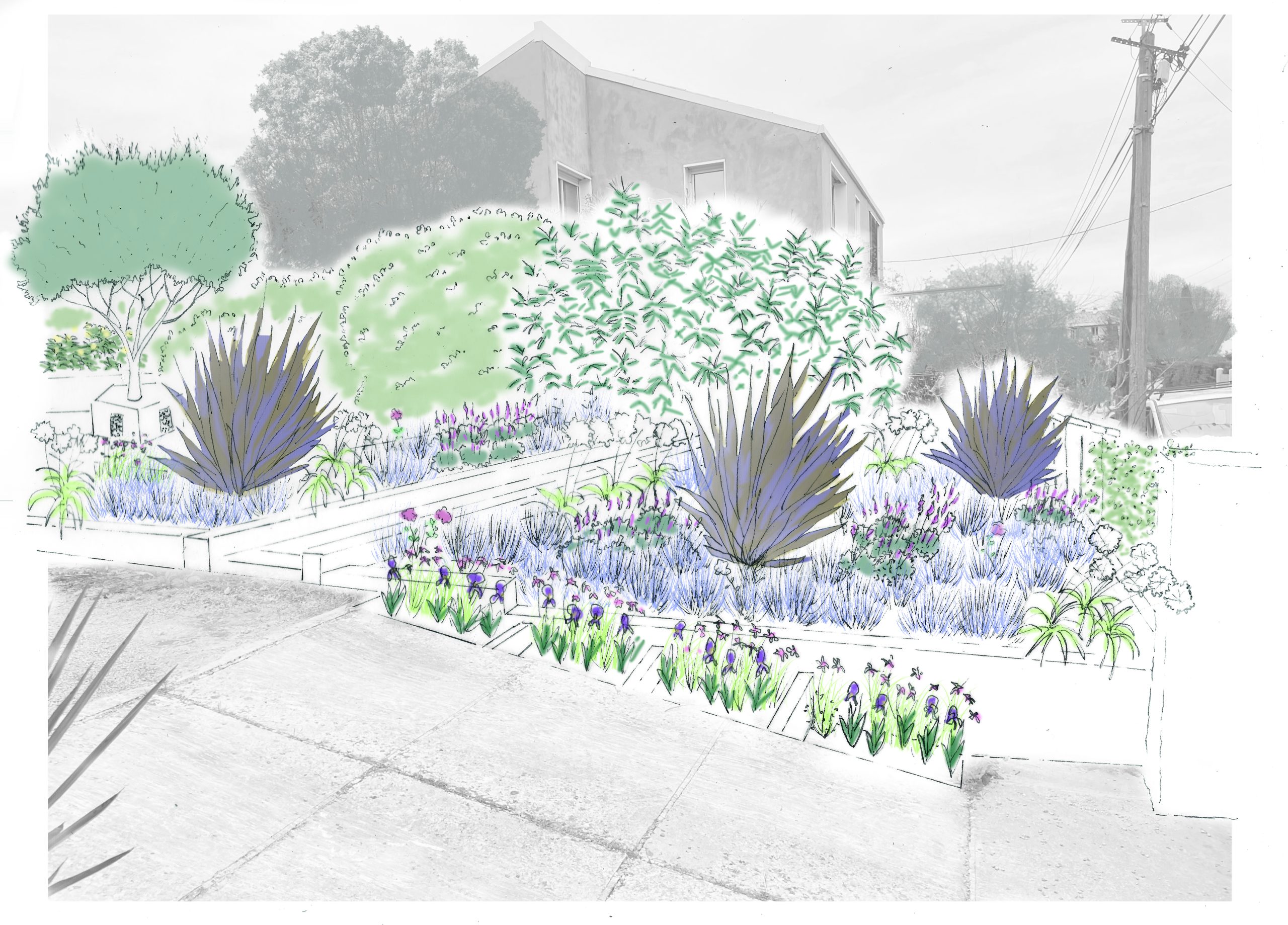 Restauration de jardin | Fédération Française du Paysage - FFP