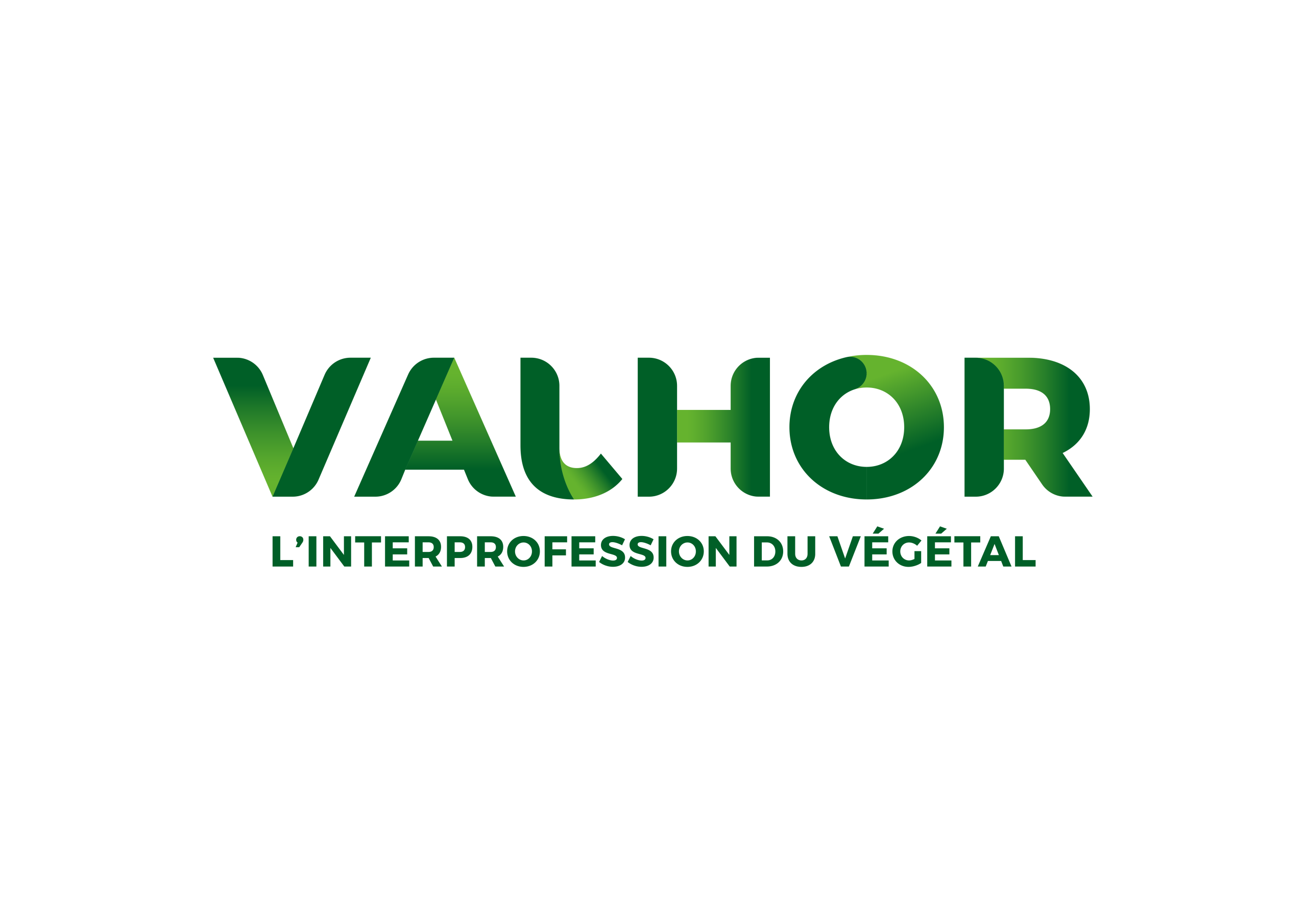 VALHOR